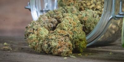 A Glass Jar Of Cannabis Lying On Its Side With Bright Green Buds Tumbling Out Onto The Wood Table.