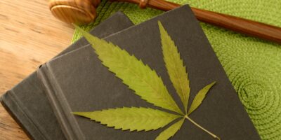 A Conceptual Image Focused On The Cannabis Laws In Michigan Displaying Books And A Gavel And Weed Leaf.