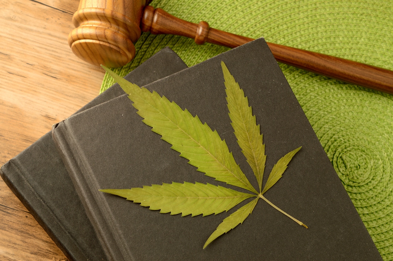 A conceptual image focused on the cannabis laws in Michigan displaying books and a gavel and weed leaf.