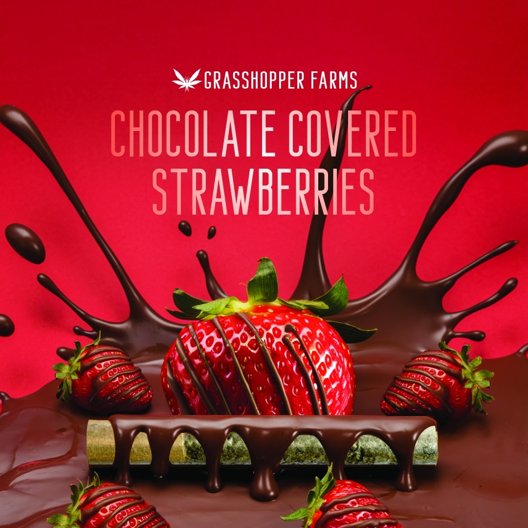 Grasshopper Farms Chocolate Covered Strawberries Preroll