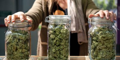 A Bud-tender In Michigan Showing Off Three Large Glass Jars Filled With Weed From A Dispensary.