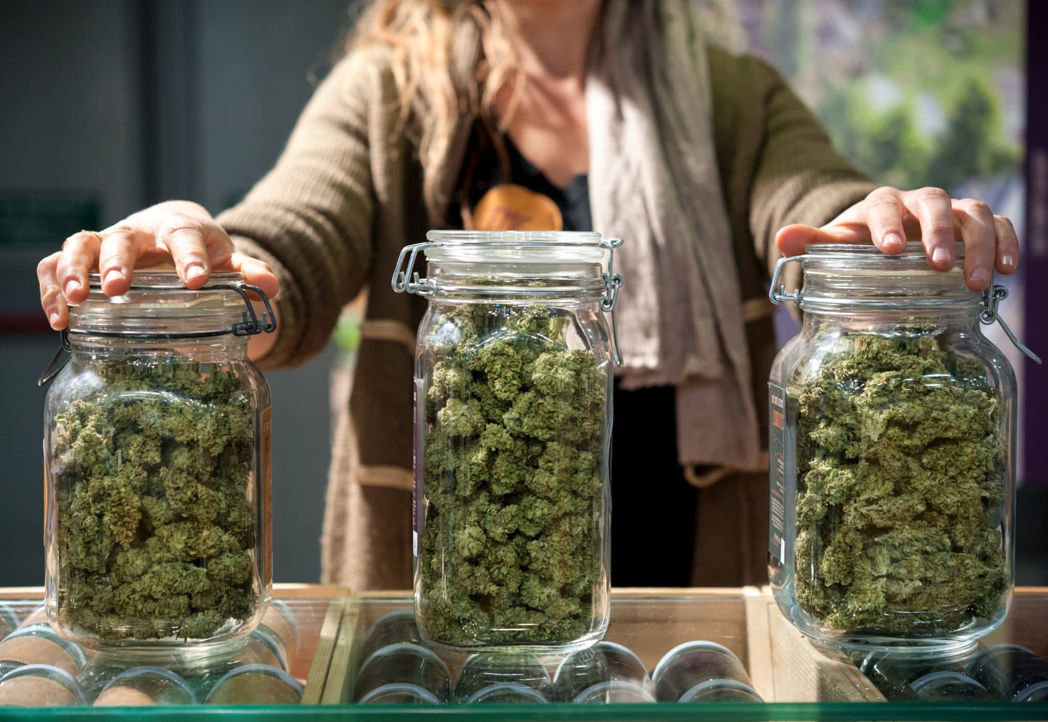A bud-tender in Michigan showing off three large glass jars filled with weed from a dispensary.