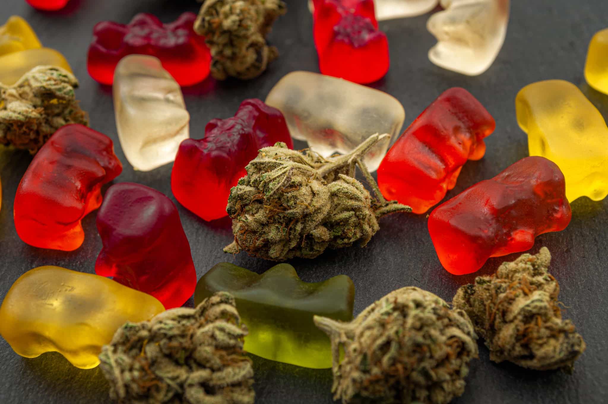 A photo of cannabis buds with red, green, yellow, and white gummy bears arranged on a tabletop.