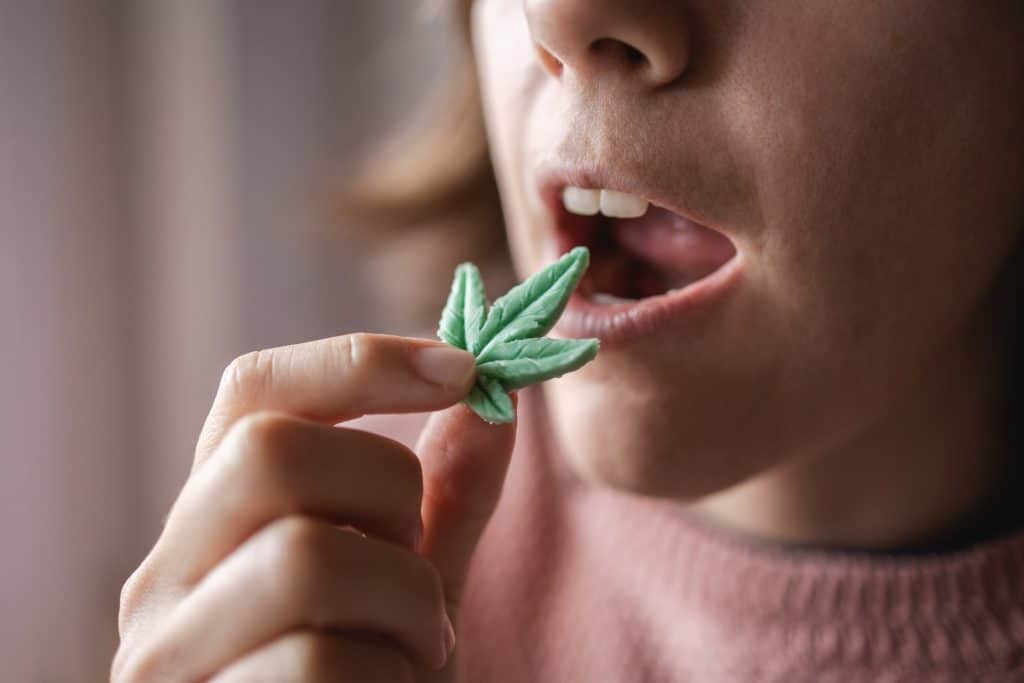 An adult woman wearing a pink sweater, eating a green cannabis leaf-shaped weed edible.
