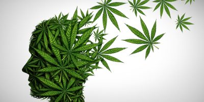 A 3D illustration showing cannabis leaves in the shape of a human head, demonstrating the link between marijuana and mental health.