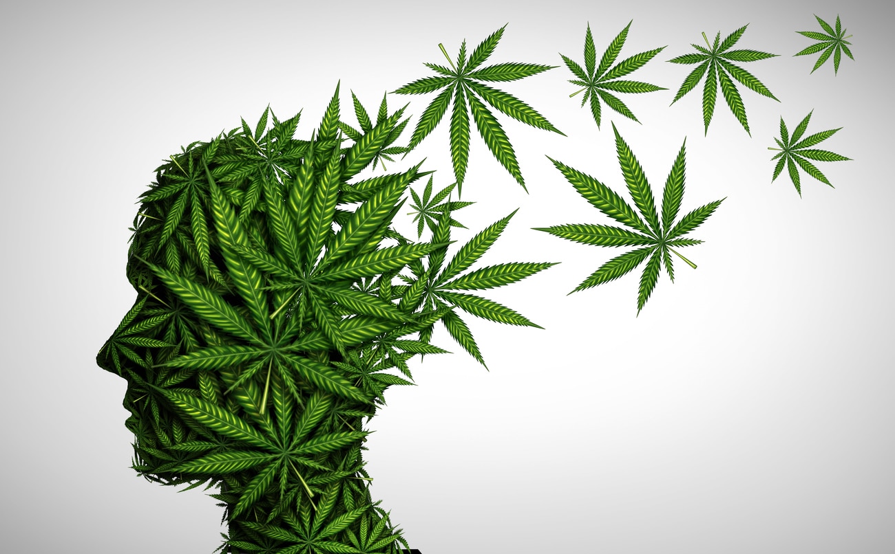 A 3D illustration showing cannabis leaves in the shape of a human head, demonstrating the link between marijuana and mental health.