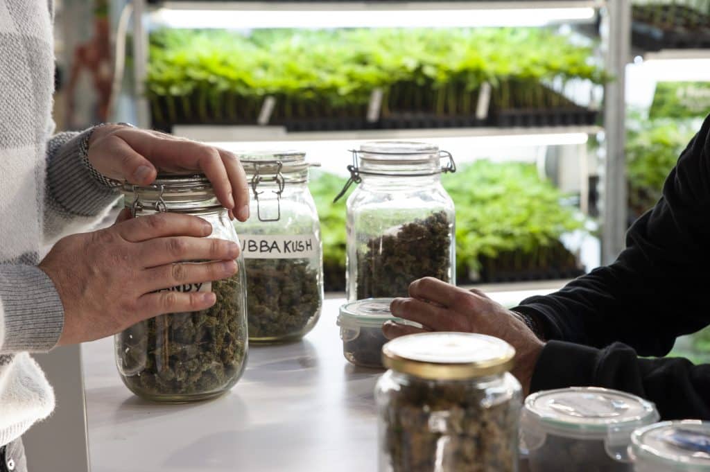 Jars of premium cannabis at a weed dispensary in Michigan