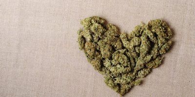 A heart made of premium cannabis buds from Michigans best weed dispensary.
