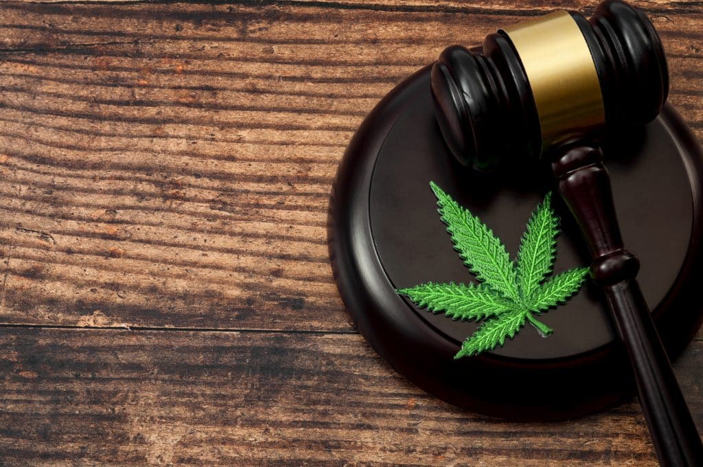 A judge gavel with a cannabis leaf on next to it.